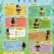 Poster Hedis Wildbienenfreunde