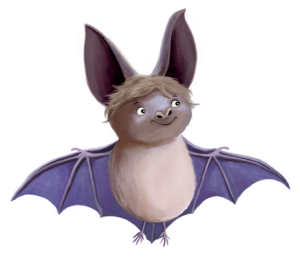 Fledermaus Finn